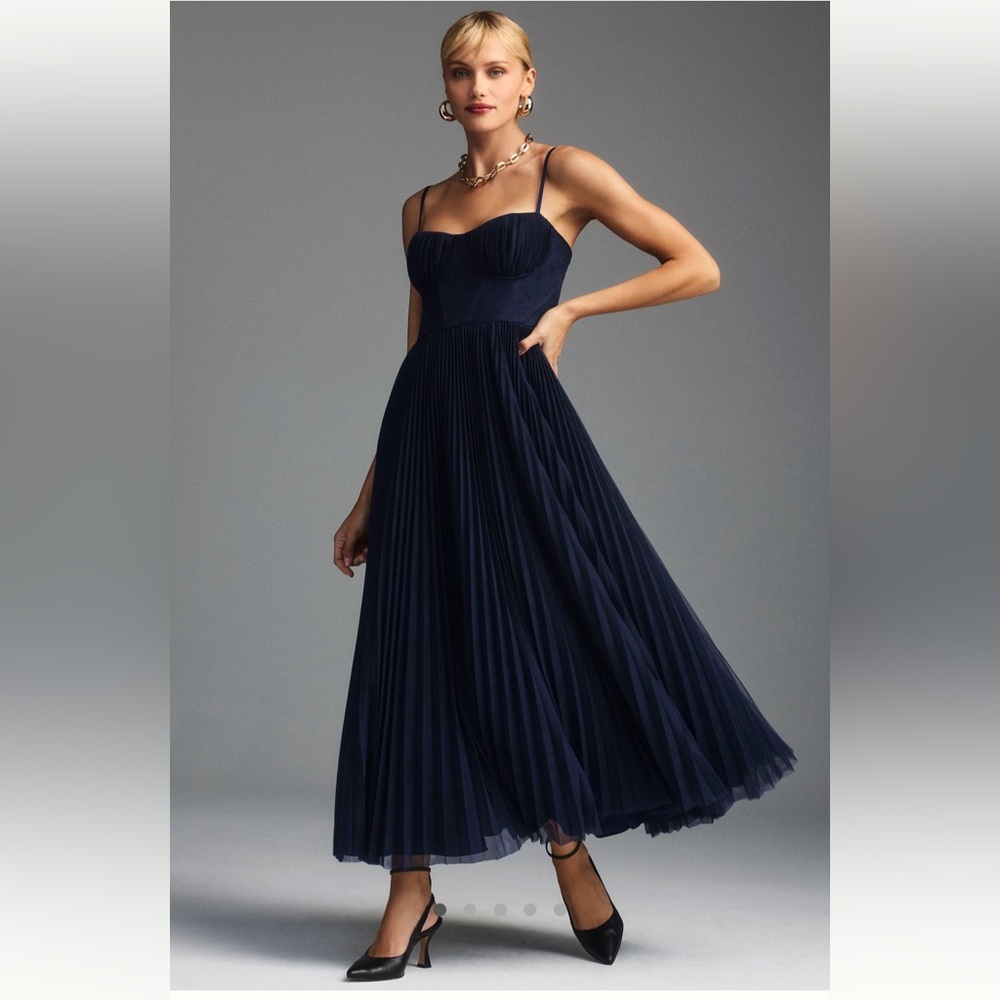 Hutch Amara Bustier Pleated Tule Fit n Flare Midi Dress